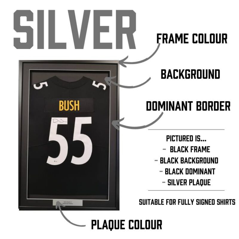 Silver American Jersey Framing - Image 3