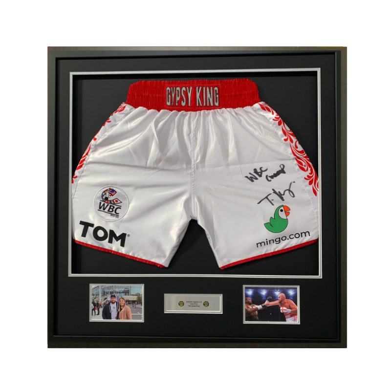 Deluxe Boxing / UFC Shorts Framing - Image 3