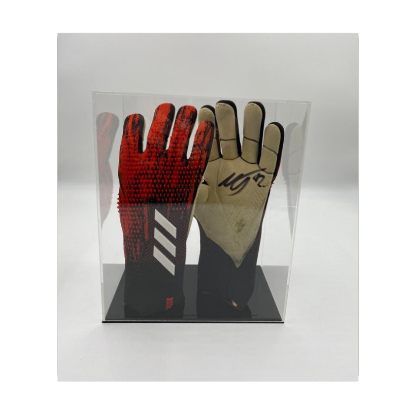 Double Goalie Glove Display Case